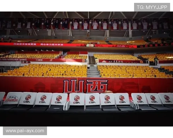 山西猛龙新赛季前瞻：阵容升级冲击更高目标